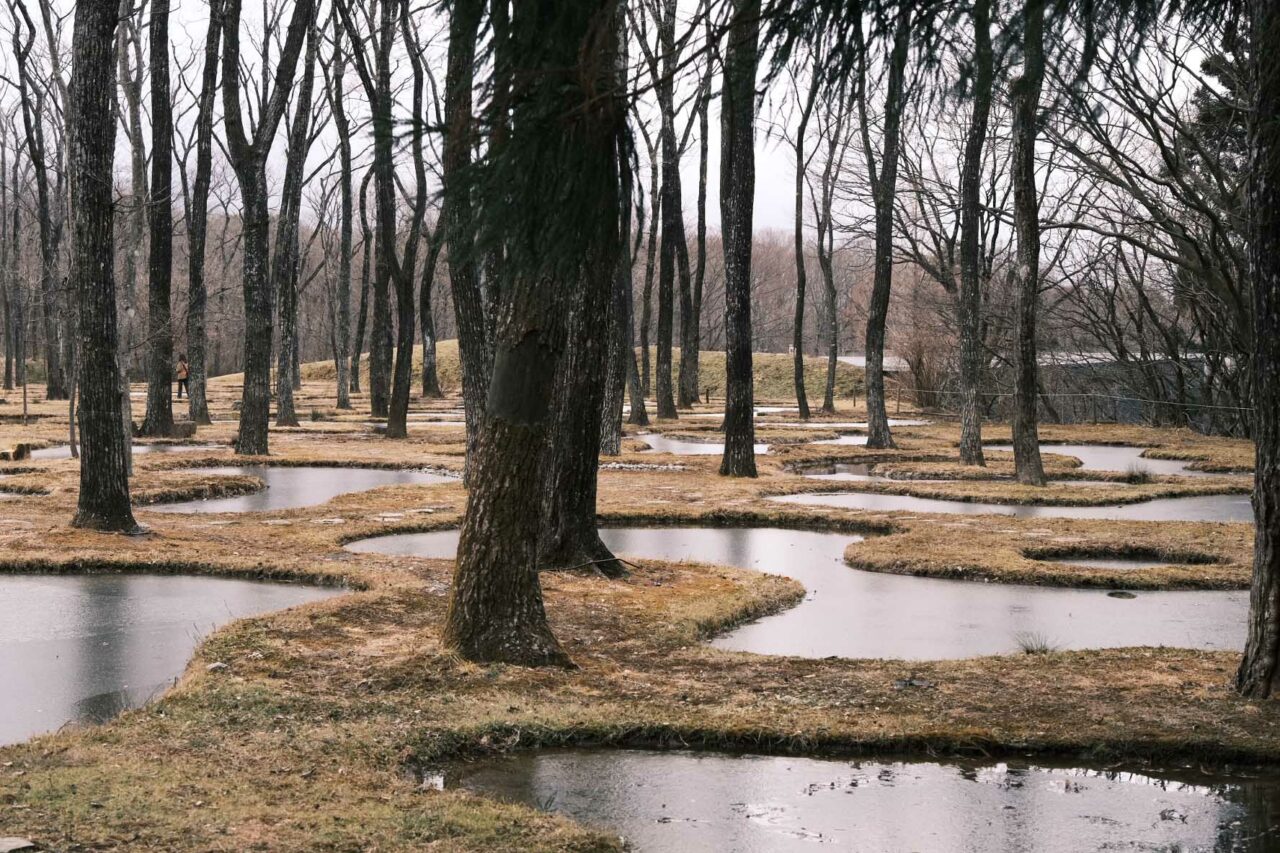 ART BIOTOP WATER GARDEN — Ala Champ